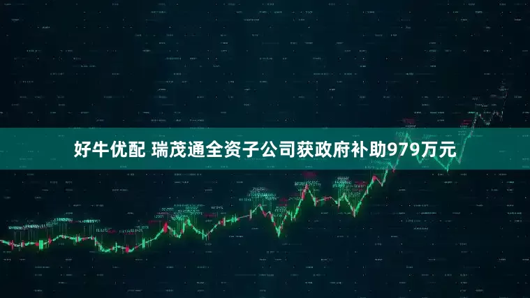 好牛优配 瑞茂通全资子公司获政府补助979万元