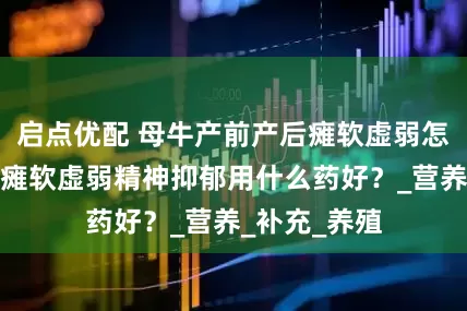 启点优配 母牛产前产后瘫软虚弱怎么办？母牛瘫软虚弱精神抑郁用什么药好？_营养_补充_养殖