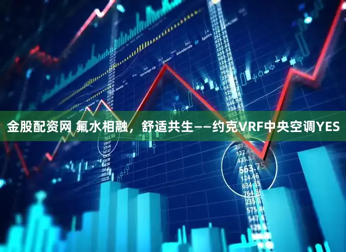 金股配资网 氟水相融，舒适共生——约克VRF中央空调YES